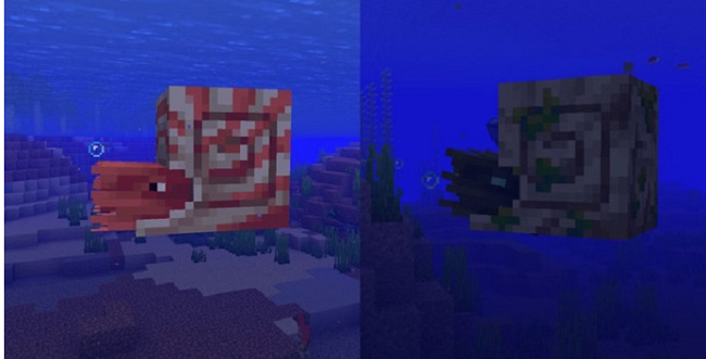 Bổ sung thú cưỡi Nautilus và Zombie Nautilus