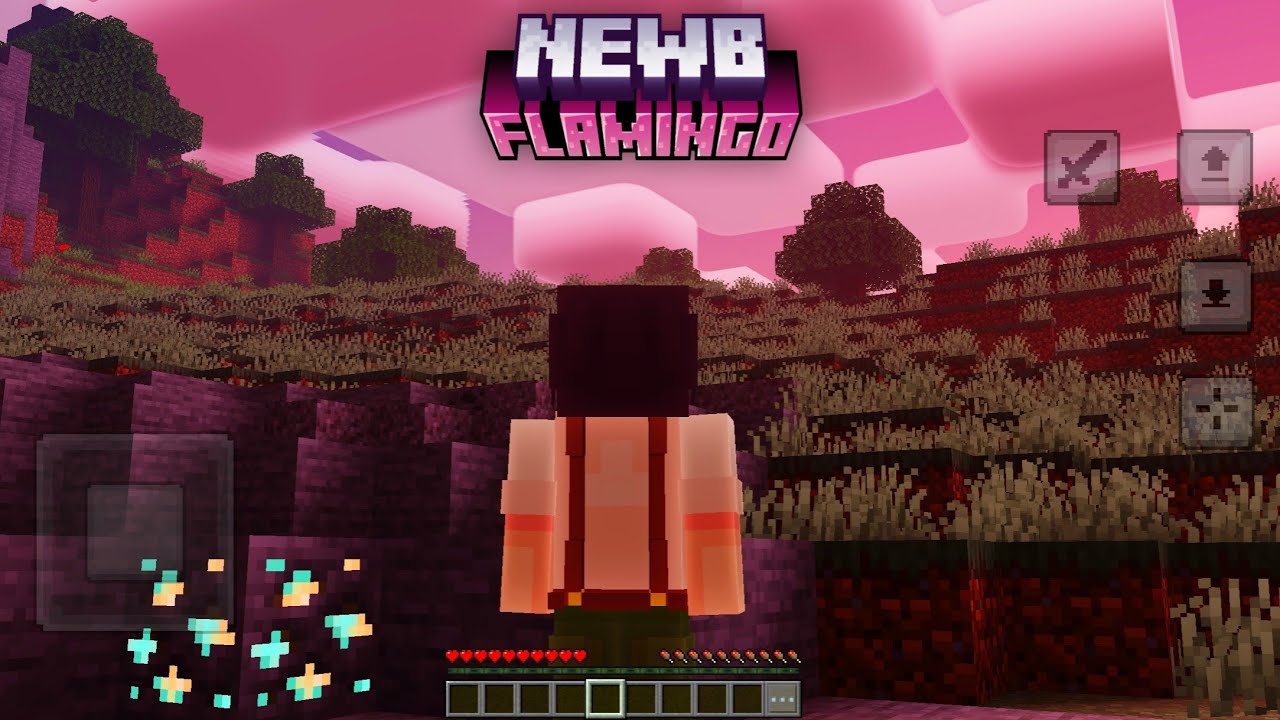 Newb X Flamingo Shader